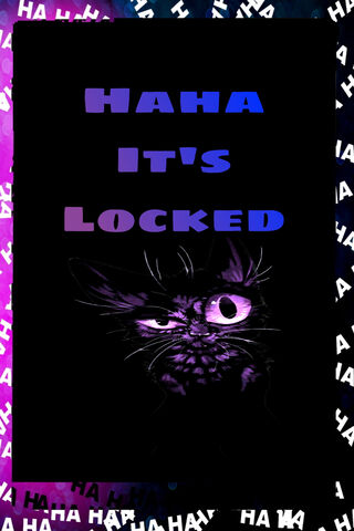 Mysterious Cat Lock 🐾🔒
