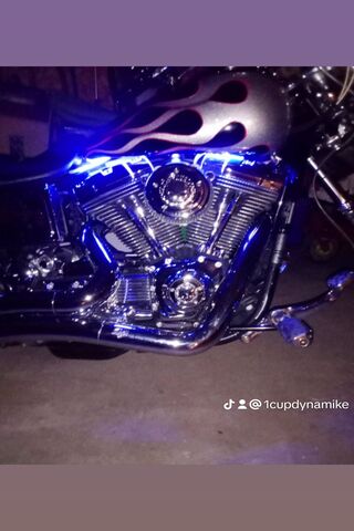 Shiny Ride with a Neon ..
