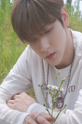 Hanyooha