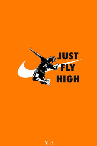 Just Fly High! 🏀✨