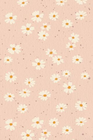 Charming Daisy Delight 🌼