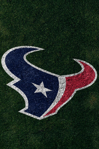 Houston Texans Logo on the Field 🏈