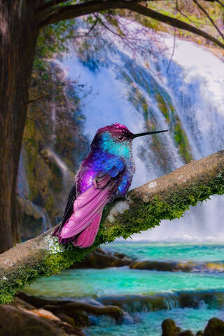 Vibrant Hummingbird by ..
