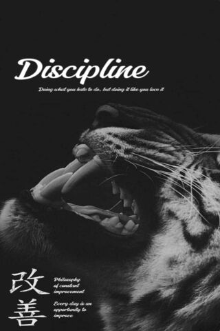 Roaring Discipline 🐅✨