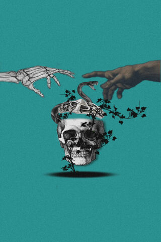 The Dance of Life and Death' 💀🌿
