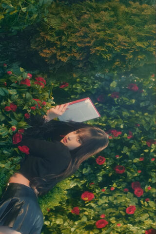 Enchanted in Bloom 🌹📖