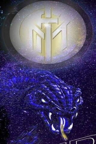 Inter