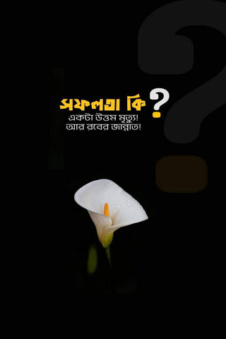 Mystery of the Calla Li..