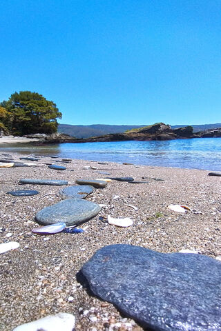 Tranquil Shoreline Bliss 🌊✨