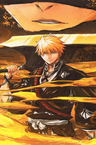 Ichigo Kurosaki: The So..