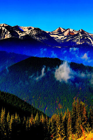 Majestic Mountain Seren..