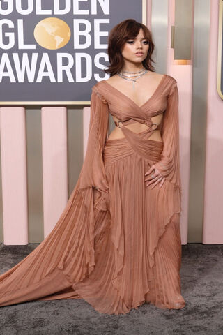 Stunning Elegance at the Golden Globe Awards ✨