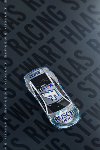 Racing Glory: The Busch..