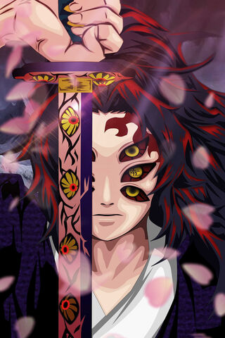 The Mysterious Warrior ..