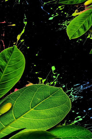 Nature's Embrace: A Splash of Love 🌿💚