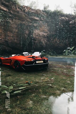 Racing Through Nature �..