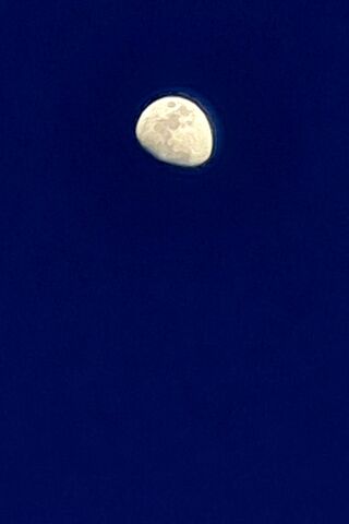 Enchanting Half Moon 🌙✨