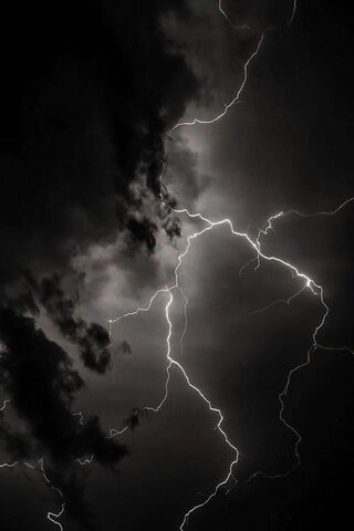 ⚡️ Nature's Electric Da..