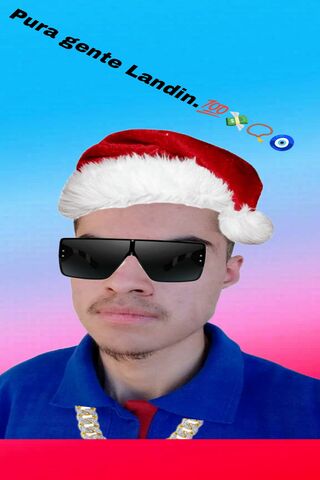 Landinn