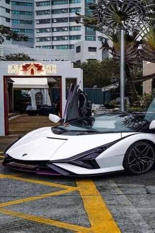 Sleek and Stunning: The..