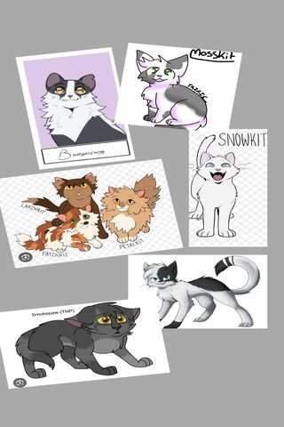 Long Live The Kits