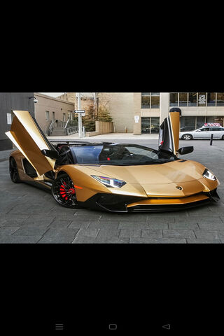 Golden Dream Machine ✨🚗