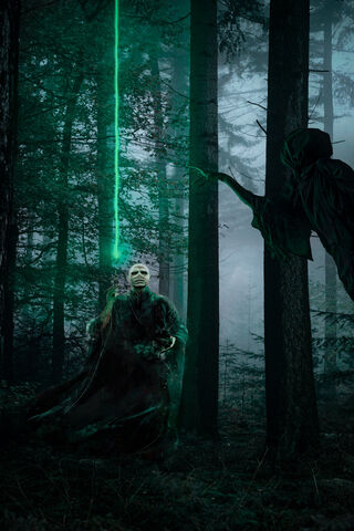 Enchanted Encounter in the Forest 🌲✨