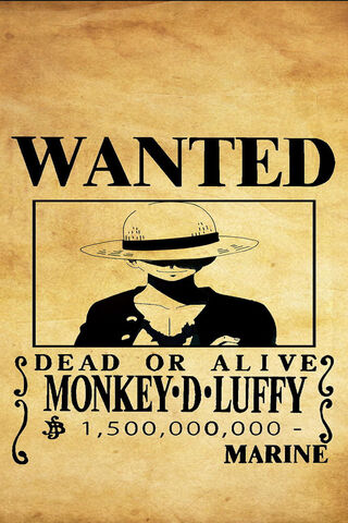 Luffy's Legendary Bounty! 🏴‍☠️💰