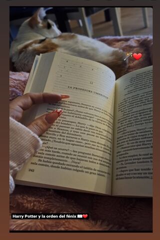 Cozy Reading Time with ..