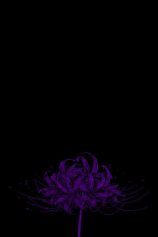 Enigmatic Purple Bloom ..