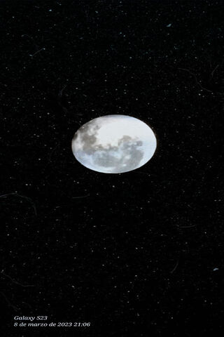 Enchanting Moonlit Nigh..