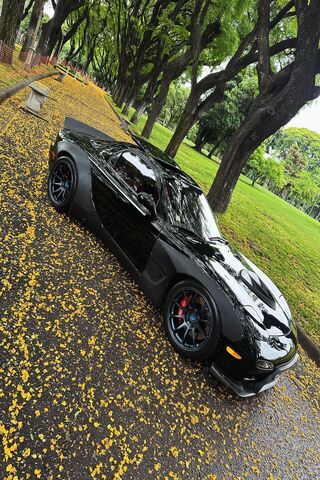 Sleek Black Beauty on a..