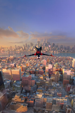 Soaring Through the Cit..