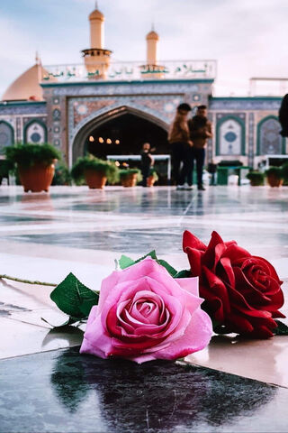 Blossoms of Serenity 🌹✨