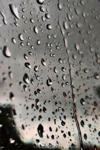 MickS Photography