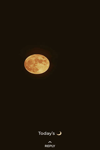 Enchanting Moonlit Night 🌕✨
