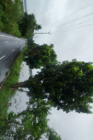 Serene Rainy Day Drive ..