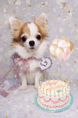 Birthday Celebration fo..