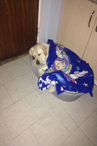 Max ?