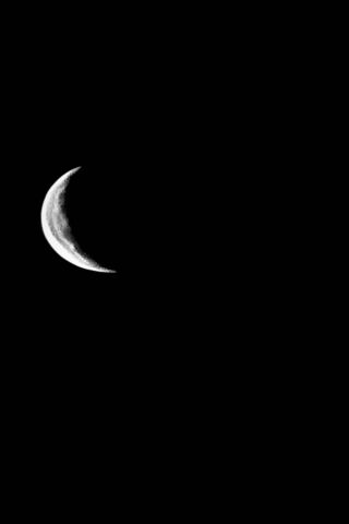 Crescent Moon Magic 🌙✨