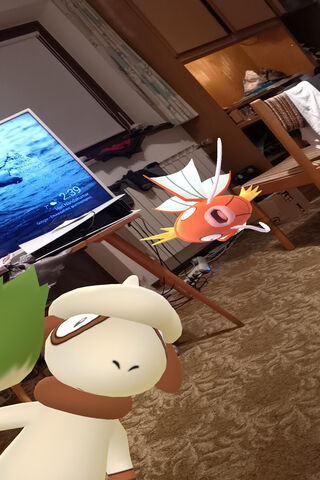 Pokémon Adventure in th..