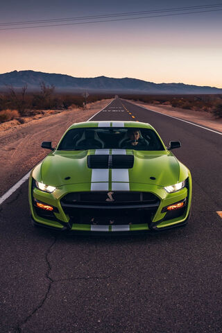 Unleashing the Beast: T..