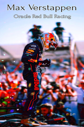 Max Verstappen: The Cha..