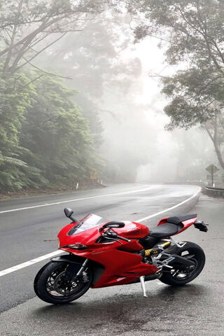 Misty Ride: The Red Bea..