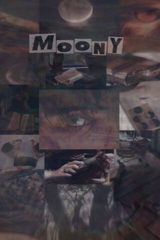 MOONY WALLPAPER