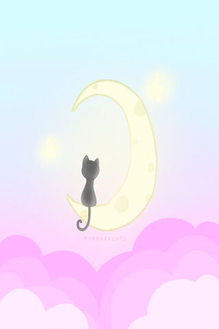 Dreamy Night with a Cat 🌙🐾