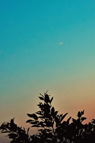 Serene Twilight 🌙✨