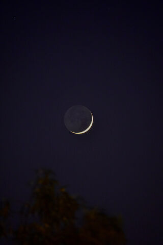 Enchanting Crescent Moo..