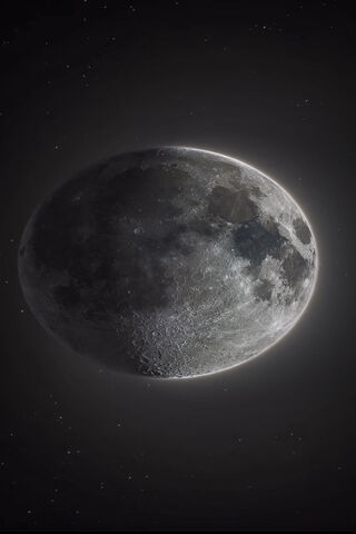 Enchanting Moonlit Nigh..
