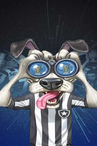 Mosaico Botafogo 2023